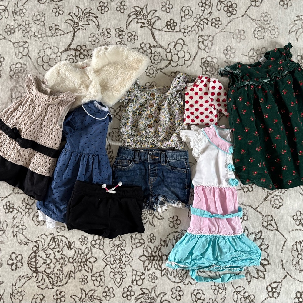 Bundle of Toddler Girl Clothes 18M